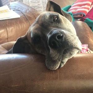 Meet your Posher, Savannah